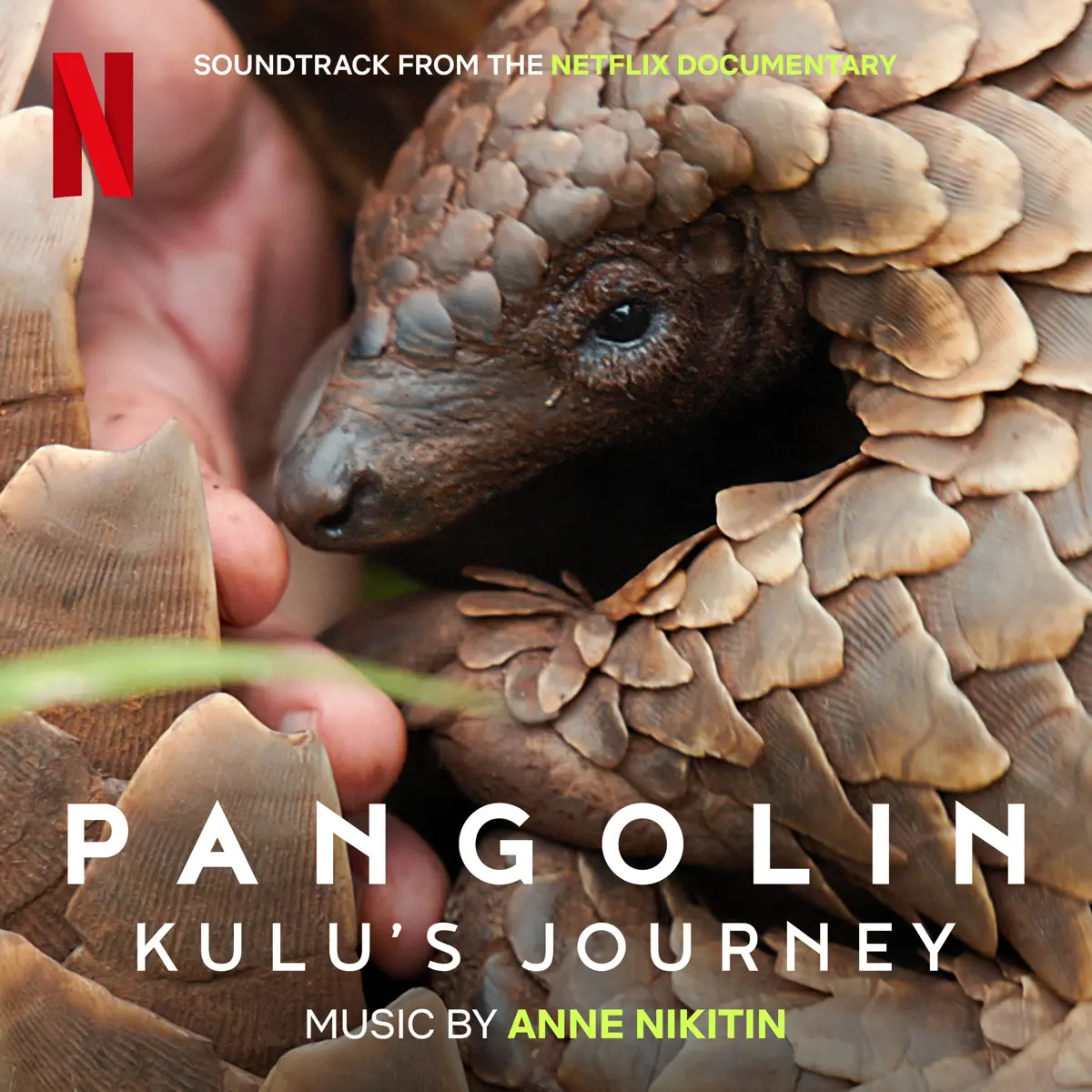 Anne Nikitin - 穿山甲Kulu的旅程 Pangolin: Kulu's Journey (Soundtrack from the Netflix Documentary) (2025) [iTunes Plus AAC M4A]-新房子
