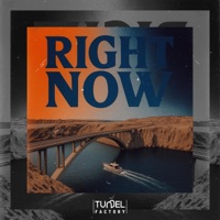 RIGHT NOW - Single - Foxtune, Lui R & Tunnel Factory