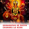 Gorakhpur Se Saiya Chunari Le Aiha - Single