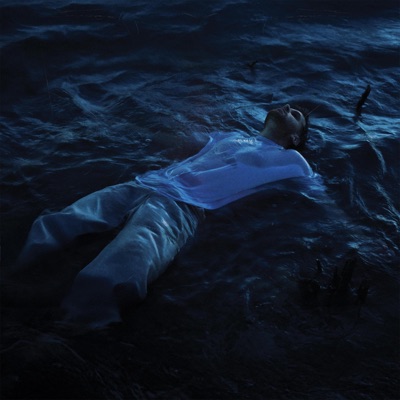 שחייה לילית