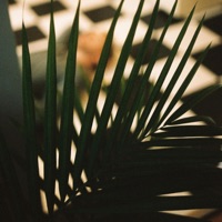 Forget About Me (Acoustic) - Single - Ben Provencial & Jaylon Ashaun