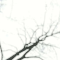 Dust Fairy - Single - Window