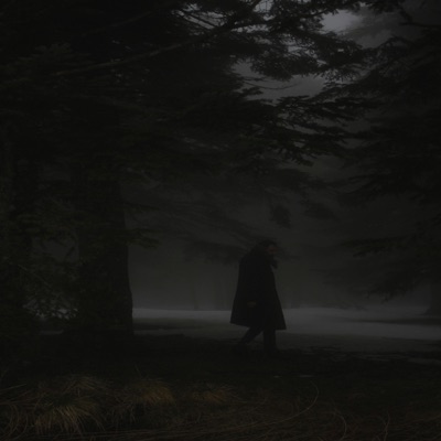 grief in the shadow (feat. empty street) - Single