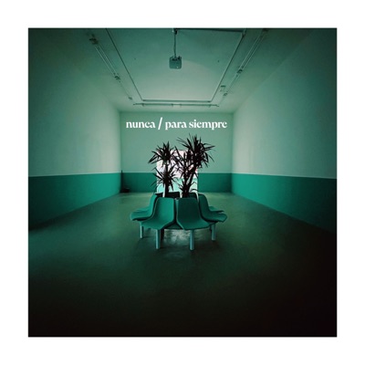Nunca para Siempre - Single