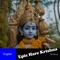 Epic Hare Krishna Song (English Version) - Raj Chanda lyrics