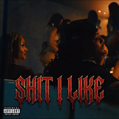Shit I Like (feat. Trap-A-Holics & DJ Whoo Kid) - Single