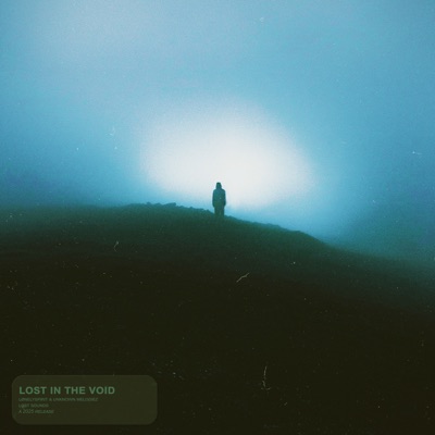 lost in the void (sped up) - Single