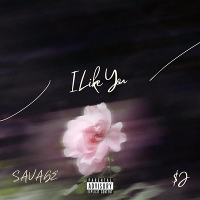 I Like You (feat. SAVAGE THA ALMIIGHTY) - Single