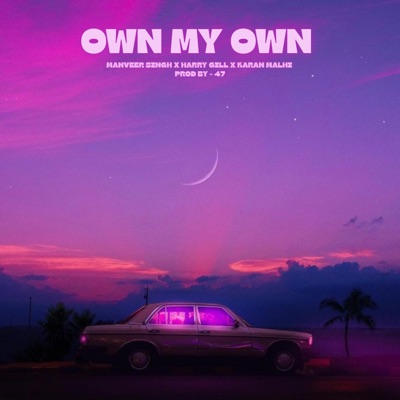 ON MY OWN (feat. KARAN MALHI & MANVEER SINGH) - Single
