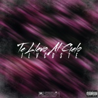 TE LLEVO AL CIELO - Single - Jlvcoste