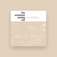 The American Analog Set