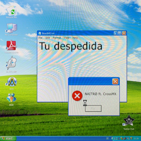 Tu Despedida