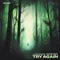 Try Again