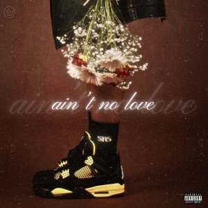 Ain't No Love