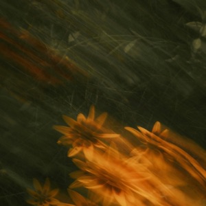 Bedside Vignette - Single