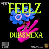FEELZ (DUBSMEXA) [Electronic unshine Cult] - Single - FEELZOFICIAL 12