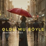 Oldu Mu Böyle - Single