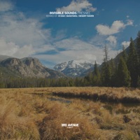 Fresnel - Invisible Sounds, Desert Raven & Stego