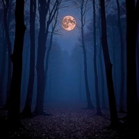 ADDICTED TO YOUR LOVE (feat. Ella) - Single - NEVER VISION & KAMPEX808