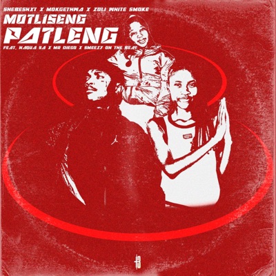 Motliseng Patleng (feat. Shebeshxt, Mokgethwa, SmeezyOn the Beat, Naqua Pro & Mr Diego) - Single