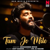 Tum Jo Mile - Single - Mohammed Irfan & Udit Saxena