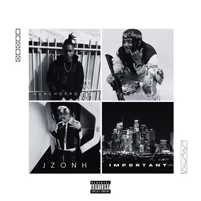 Important (feat. Pyrobeenfire & Hunchofromla) - Single