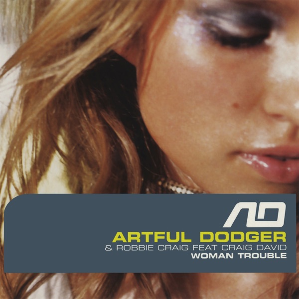 Woman Trouble (feat. Craig David)