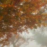 Apple of My Eye (feat. Freexe) - Single - Demonic