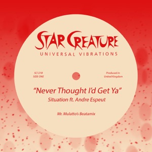 Never Thought I'd Get Ya (Mr. Mulatto's Beatamix) - Single
