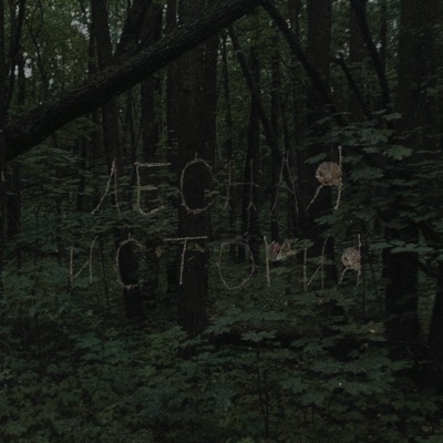 Лесная история - Single