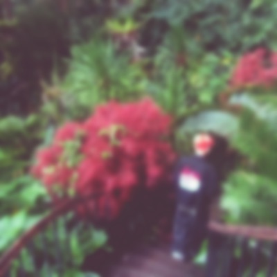 anh xin - Single