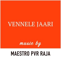Vennele Jaari (feat. Dhanunjay Seepana) - Single - PVR Raja