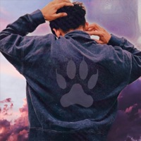 Lobo (feat. J QOZZ) - Single - Anzor