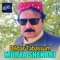 Murya Shekari - DildarTabassum lyrics