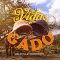 VIDA DE GADO