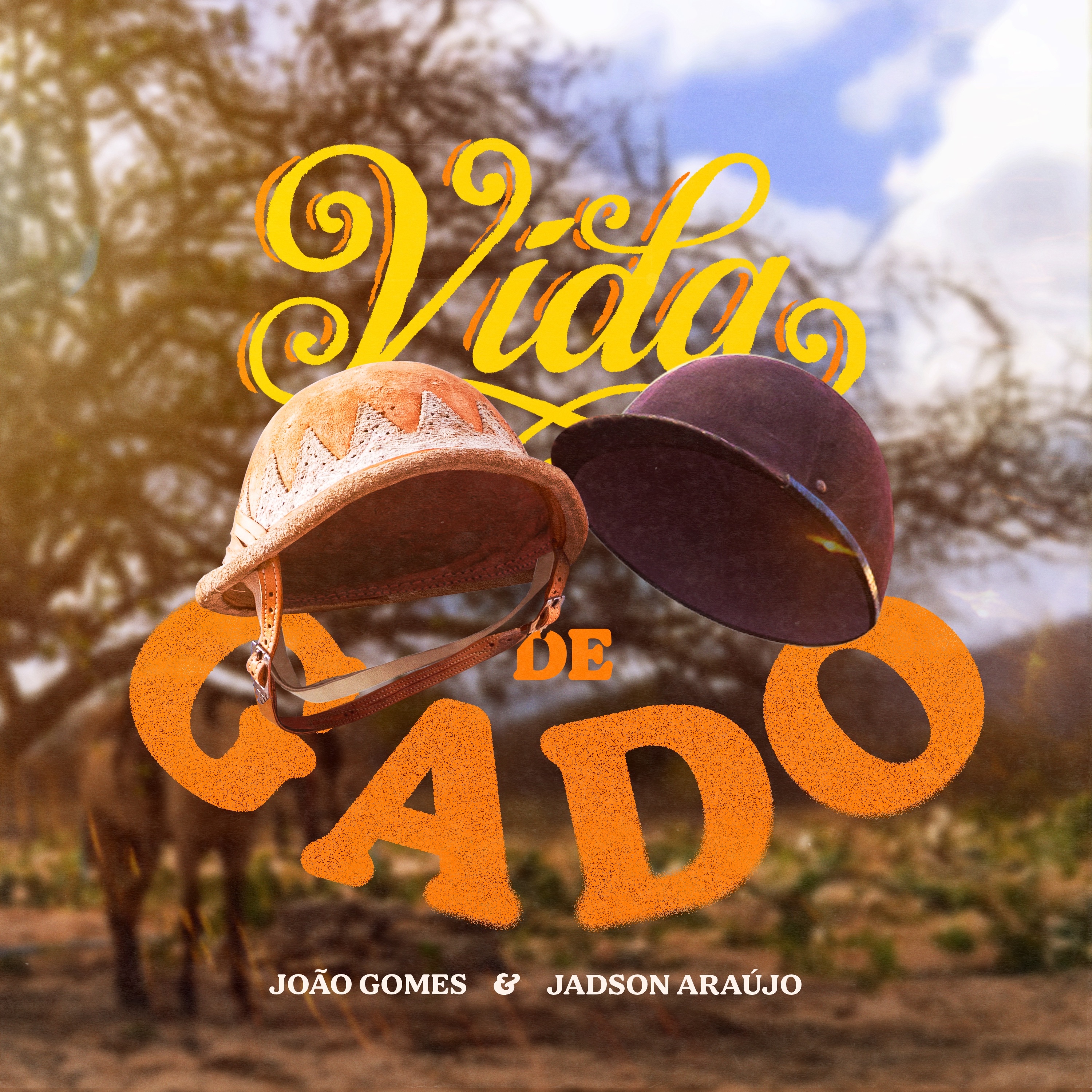 Vida de Gado - Single