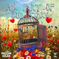 All Part Of Our Story - Million Miler