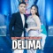 Delima (feat. Mahesa Music) - Gerry Mahesa & Intan Afifah lyrics
