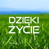 Dzięki Życie artwork