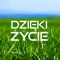 Dzięki Życie artwork