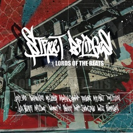 STREET BRIDGES LORDS OF THE BEATS, LORD VAN, Botanique, McGyver, Мойша Эскобар, REALEYEZ, Mr Melt, Lex Starr, Mati Boy, Bloomy Di, Skinny Buff, Dmitrich, Zveda Zago, Beitz & Simagon