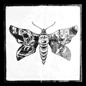 THE MOth