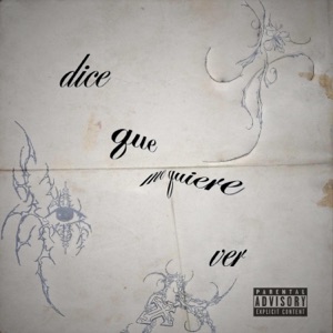 dice que me quiere ver (feat. twzzy) - Single