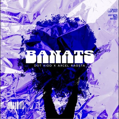 BANATS (feat. Axcel & 209 MTR PRO MUSIC) - Single