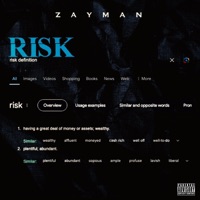Risk - Single - Zayman