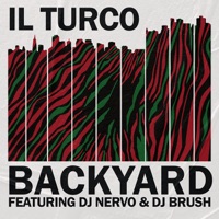 Backyard (feat. Dj Nervo & Dj Brush) - Single - Il Turco