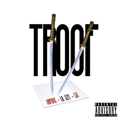 TROOF (feat. Dripking & zt_GAT) - Single