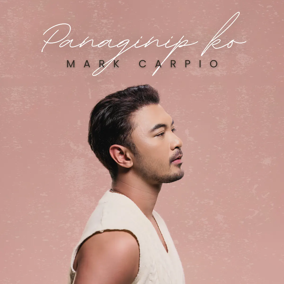 Mark Carpio - Panaginip Ko - Single (2024) [iTunes Plus AAC M4A]-新房子