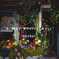 I Was Adored Once - Single - ndeboi