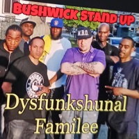 BUSHWICK STAND UP (Radio Edit) - Single - Da Dysfunkshunal Familee